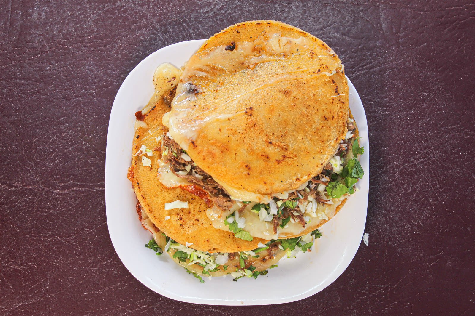 Quesabirria dorada